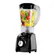 Liquidificador Mallory Fast Mix 2,1L 2 Velocidades + Pulsar Preto 127V