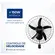 Ventilador Mondial NVP-PRO-50 Parede Turbo Pro 50cm 5P 127V Preto