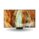 Smart TV 85" Samsung NeoQled Ultra HDR 10+ Vision AI 4K Assistente De Voz Alexa Integrado