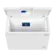 Freezer Mystic 299 Litros Horizontal Dupla Funcao Branco 127V